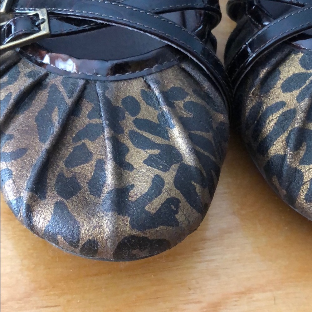 Cheetah Flats - Picture 5 of 7